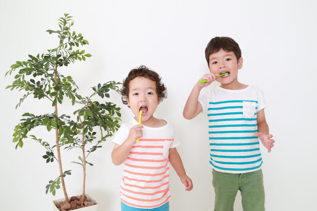 6歳臼歯