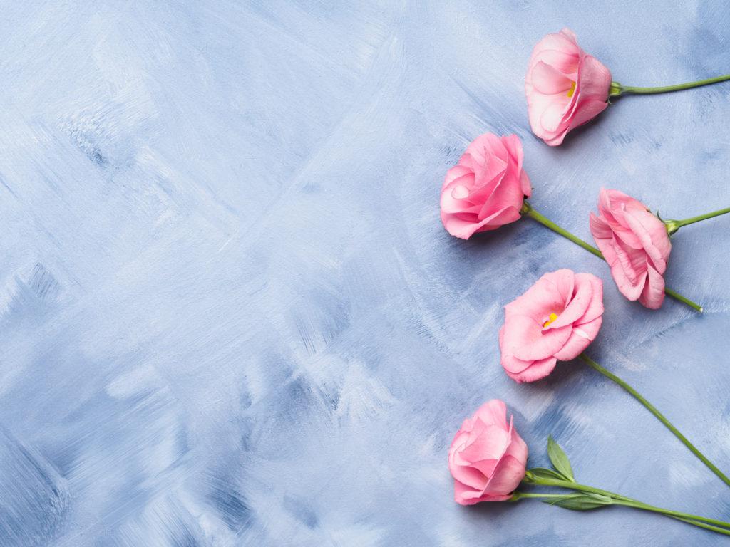 予約前に読みたいコラム 蕨市の歯医者さんのおすすめポイントまとめ 歯のアンテナ